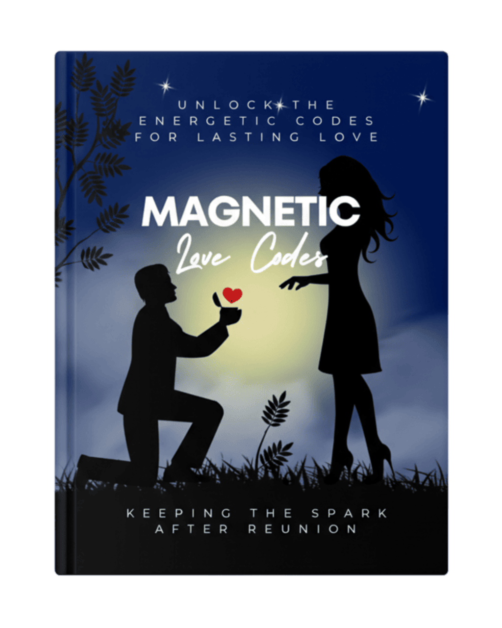 Magnetic Love Codes - Keeping the Spark After Reunion Moonifest